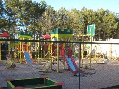 Двор образцового содержания